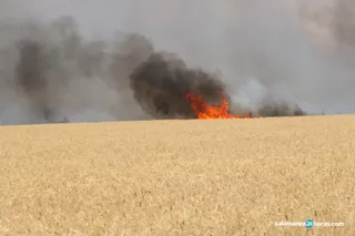 Incendio en Morille (6)
