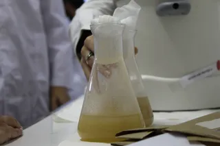 Prácticas alumnos de Ganadería y Asistencia en Sanidad Animal. Agrarias. IES Torres Villarroel