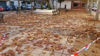 Concluyen las obras de mejora de nueve parques, plazas y zonas ajardinadas de la ciudad