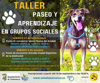 Taller paseos y grupos sociales