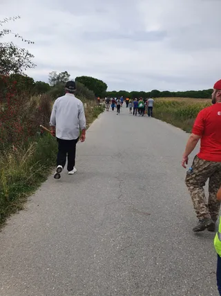 Batida ciudadana (8)
