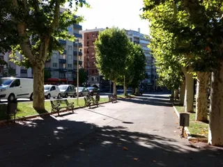 Arbolado urbano