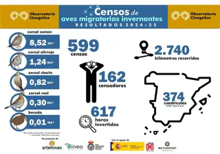 Aumentan en más del 30% los censos de aves migratorias invernantes del Observatorio Cinegético hasta 599 en toda España. - FUNDACIÓN ARTEMISAN