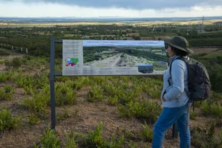 Mirador y panel