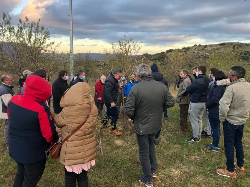 Taller de poda en La Fregeneda