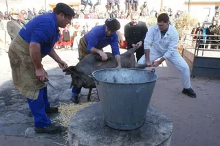 La Matanza sigue ultimando los detalles