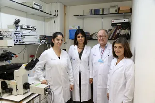 INVESTIGADORES