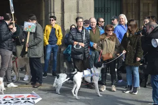 Manifestación No a la casza 2020 (27)