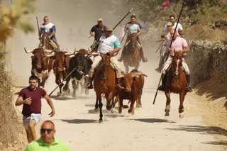 Encierro a caballo y capea en Ledesma