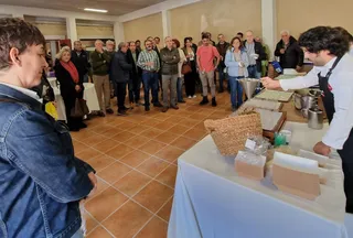 Dehesas con futuro, Cipérez (6)