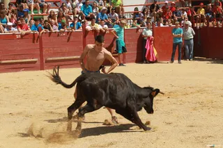 JOTA1170
