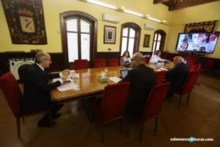 Pleno telematico Diputacion 8 abril (9)