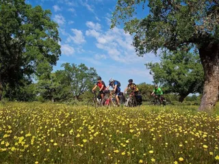 Ruta Transmorucha
