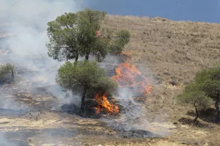 El PSOE exige a la Junta que limpie y desbroce los montas para evitar los incendios forestales