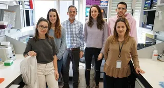 Grupo dirigido por Isidro Sánchez García, investigador del CSIC