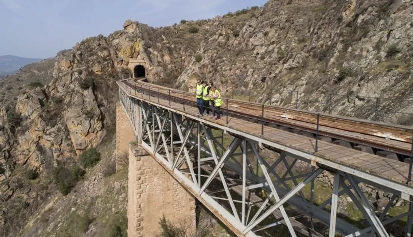 Camino de hierro grupo