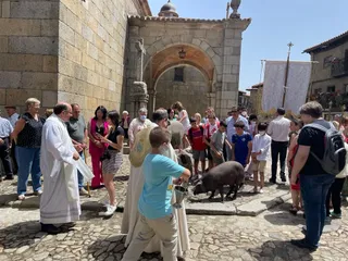 Bendición del marrano de San Antón