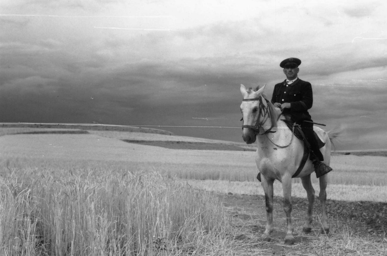 Guarda En El Campo Ii. Imagen De Felipe Torres. Diputaci&oacute;n De Salamanca 