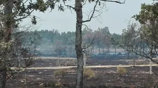Incendio forestal en el Parque Natural de Las Arribes