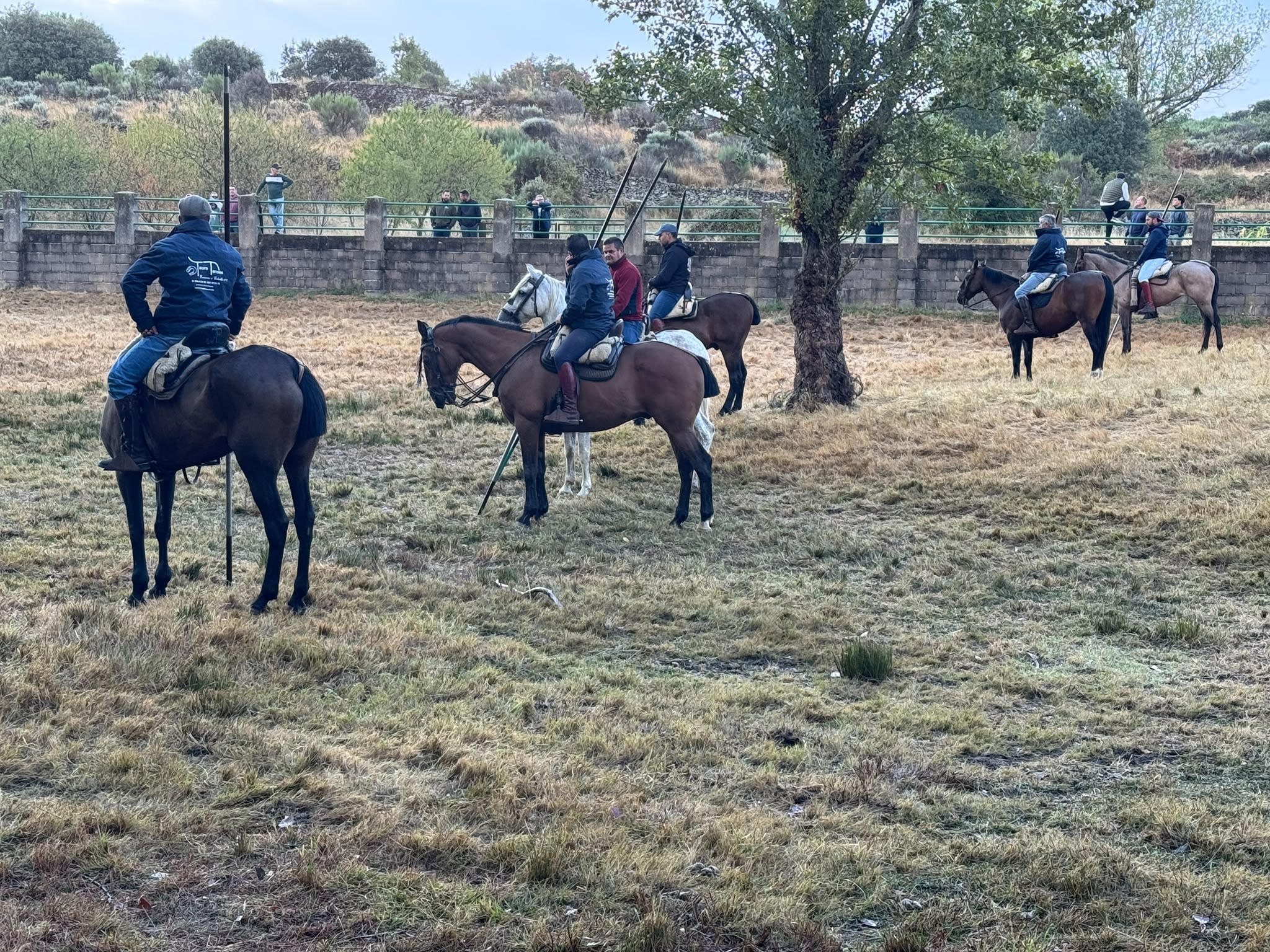 Encierro a Caballo De Novillos De La Campana En Aldead&aacute;vila De La Ribera. Salamanca24horas (7)