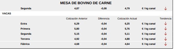 Mesa De Bovino De Carne Lonja Salamanca 8 Junio 2026 1 
