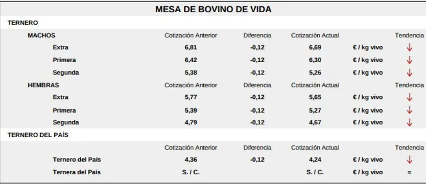 Mesa De Bovino De Vida Lonja Salamanca 8 Junio 2026