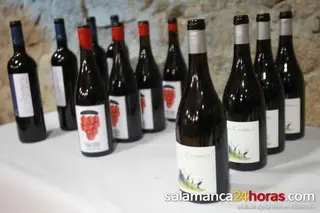 Fiesta de la vendimia