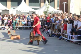 Exhibición Unidad canina de rescate Festival Coodefest Castilla y León