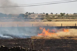 Así han quedado las zonas quemadas durante el incendio de Cipérez | Belén Hurtado