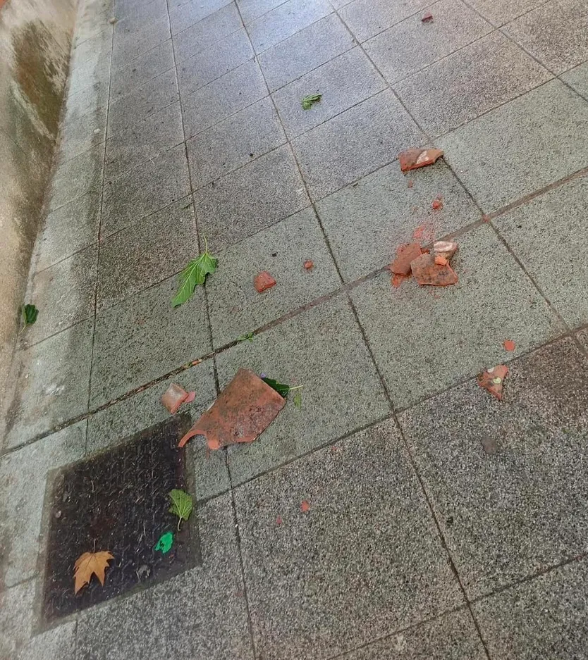 Teja caída de un tejado en el barrio del Carmen