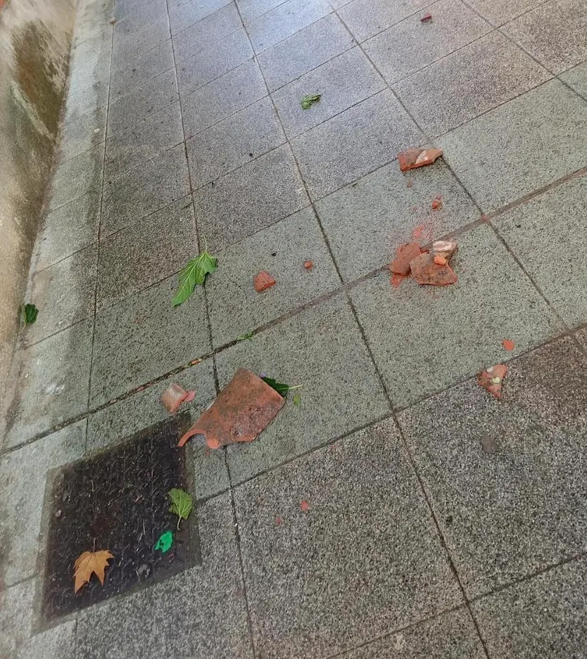 Teja caída de un tejado en el barrio del Carmen