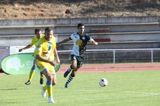 GALLEGO ARANDINA