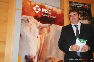 "Es posible hacer más rentable las explotaciones de vacuno de carne"