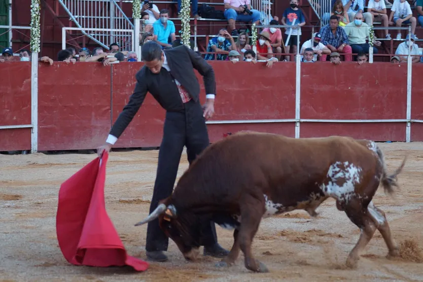 Francisco Alegre 7