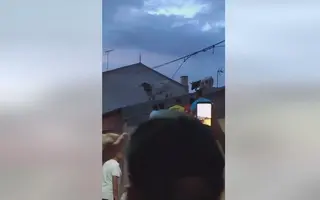 Dos cabestros en el tejado de una casa durante el encierro en Villalpando (Zamora). FOTO/VÍDEO REDES FACEBOOK 'TOROS BRAVOS EN GUADALAJARA'