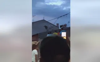 Dos cabestros en el tejado de una casa durante el encierro en Villalpando (Zamora). FOTO/VÍDEO REDES FACEBOOK 'TOROS BRAVOS EN GUADALAJARA'