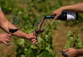 PRÍMULA, UN VINO DIFERENTE EN LA D