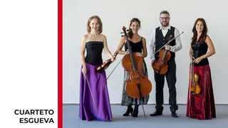Imagen del Cuarteto Esgueva