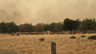 El incendio de Cipérez (IGR2) llega hasta Cerezal de Puertas