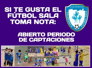 Sdfasf