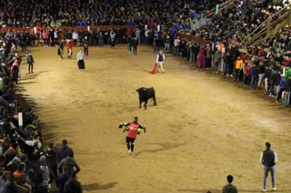 Capea vespertina lunes de carnaval en ciudad Rodrigo (2)