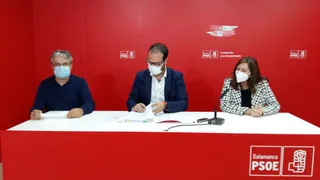 El PSOE pide a la Junta "que ninguna localidad se quede sin transporte público por carretera”