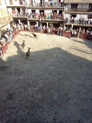 Fiestas en La Alberca: Toros