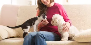 Mascotas en casa | Fotografía EP