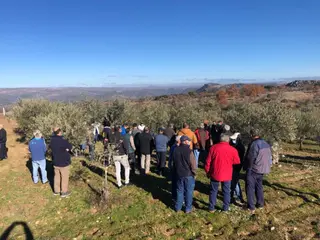 Taller de olivicultura