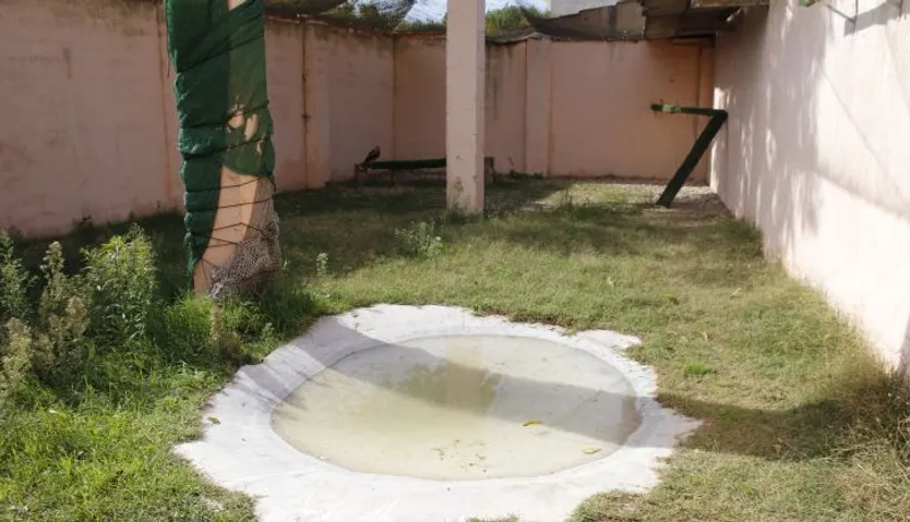 Centro de recepción de fauna silvestre, las dunas