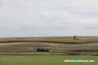 Campo septiembre (2)