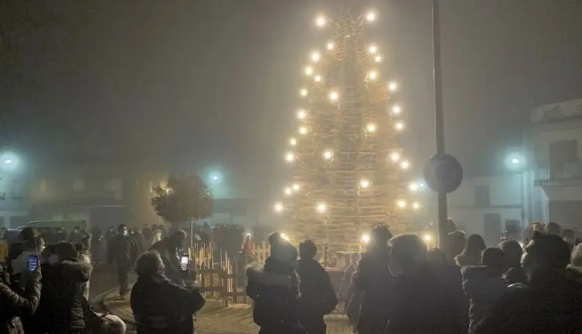Arbol de palés de Villoruela