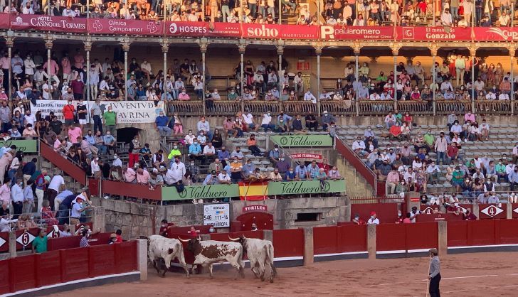 Parada de buyes de Esteban Isidro