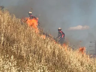 Incendio en el mirador Volcán de Garrido